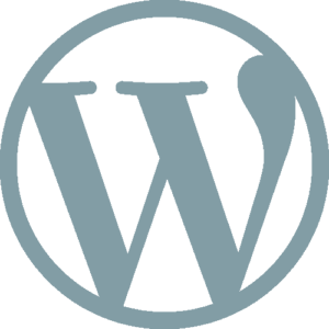 WordPress Top Premium Themes