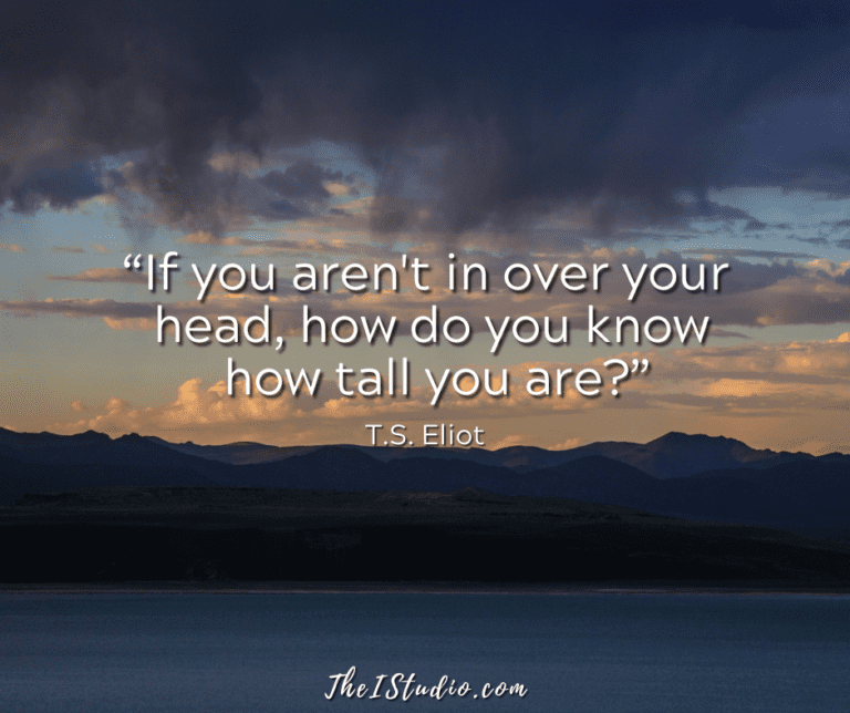 Avoid website and online business failure.